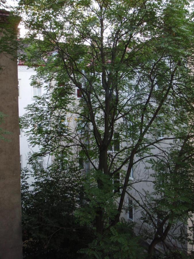 Augartenblick Penthaus 16 Viena Exterior foto